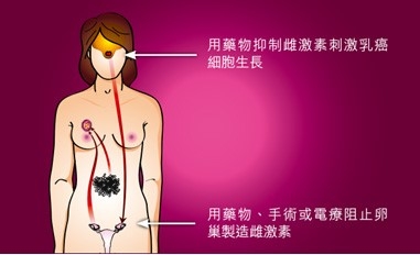 Public Photos / Files - Hormonal 2 Chi