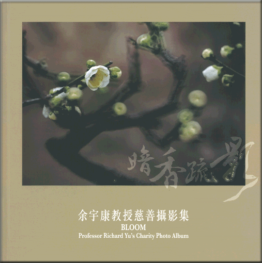 Self Photos / Files - albumcover