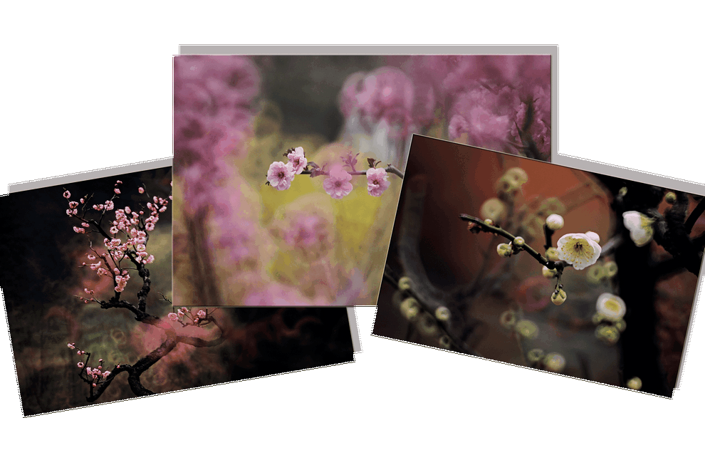 Self Photos / Files - threephotos2