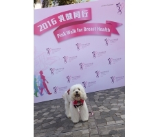 Self Photos / Files - 36