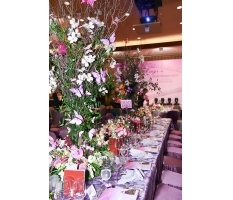 Self Photos / Files - 4